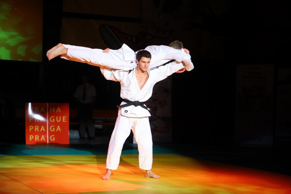Judo Show Cup 2017